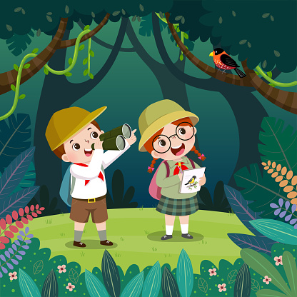 Cute boy watching bird through binoculars and the girl drawing the birds in the forest. Children have summer outdoor adventure.
