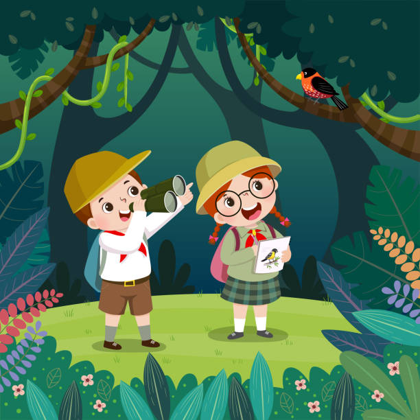 Cute boy watching bird through binoculars and the girl drawing the birds in the forest. Children have summer outdoor adventure. vector art illustration
