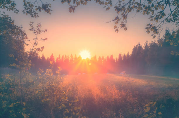 vista de la puesta de sol de la noche de verano brumoso desde sotkamo, finlandia. - solsticio de verano fotografías e imágenes de stock