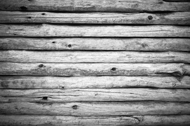 Gray old grunge wall from wooden logs knots