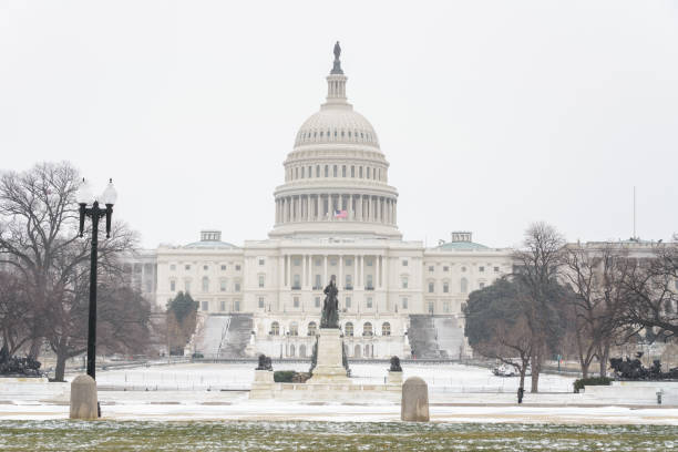 istock US Capitol in Washington DC at winter 1190126209