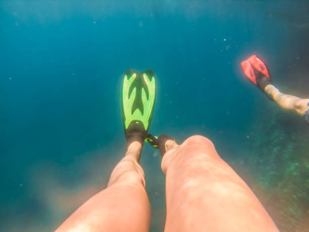 istock couple swimming underwater in flippers 1190129970