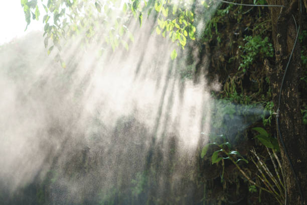 istock Fog water spray nozzle setup on tree for watering plant 1190134323
