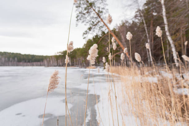 istock winter landscape with walking man; active lifestyle 1190136581