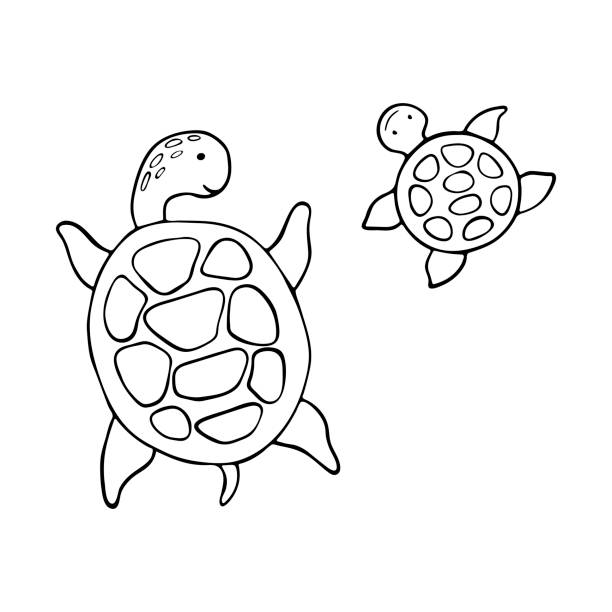 漫画スケッチカメ。 - turtle backgrounds humor vector点のイラスト素材／クリップアート素材／マンガ素材／アイコン素材
