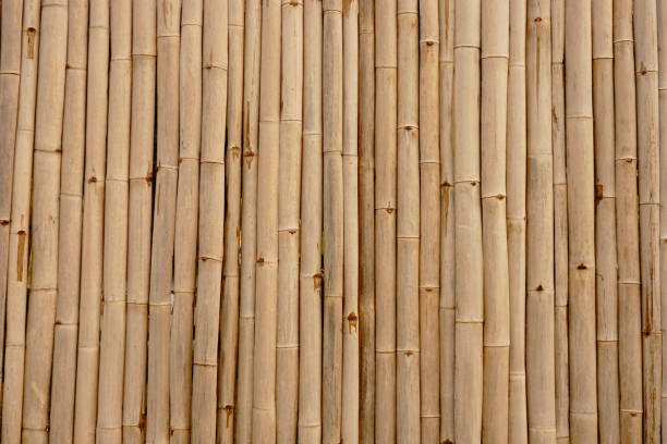 istock Bamboo wood wall with natural 1190137967