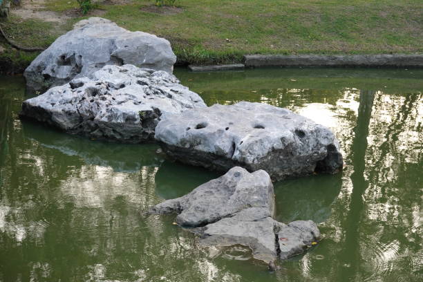 istock Perspective with large  rocks in the pond. Nature design. 1190138884