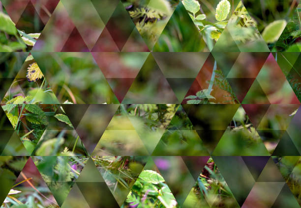 istock Abstract triangle mosaic background: Alpine flora autumn background 1190139641