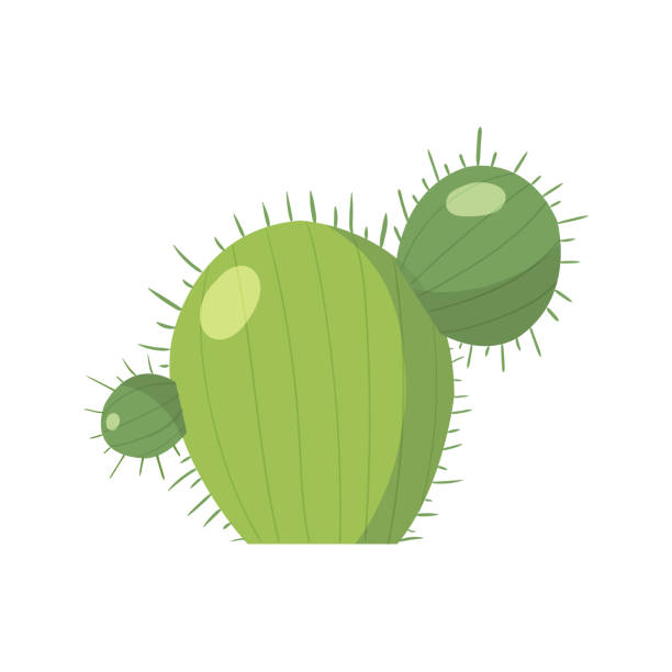 istock Cartoon cactus. Vector set of bright cacti. Colored, cacti design isolated on white background 1190139848