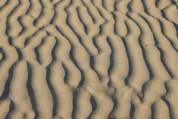istock textures of wind blown natural patterns in the sand dunes on a sunny beach 1190140411