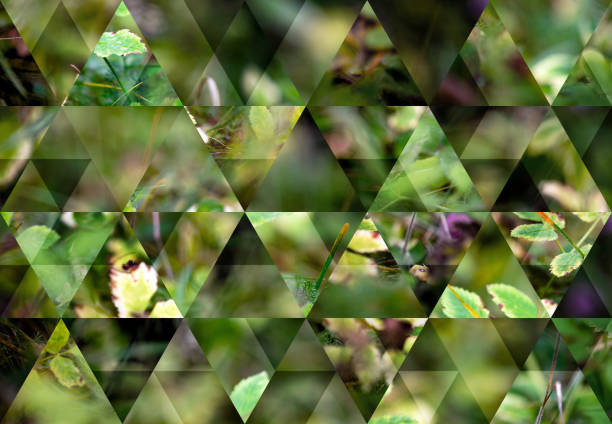 istock Abstract triangle mosaic background: Alpine flora autumn background 1190142272