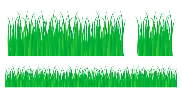 Vector illustration of Vector green lawn grass texture illustration: natural, organic, bio, eco label and shape on white background. Ground land pattern.