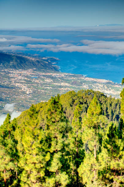 istock Teide National Park, Tenerife 1190142968