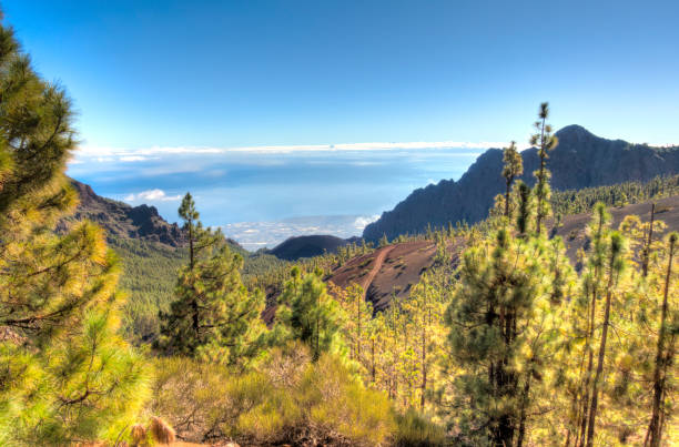 istock Teide National Park, Tenerife 1190143110