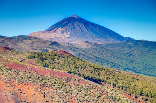 istock Teide National Park, Tenerife 1190143163