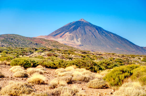 istock Teide National Park, Tenerife 1190143947
