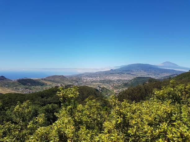 istock Trails of the Canary Islands 1190143999
