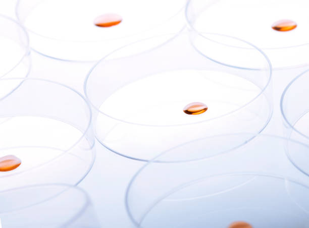 placas de petri e pipeta com material líquido. - chemistry white petri dish design - fotografias e filmes do acervo
