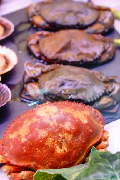 istock Crab on stainless table sell in seafood market 1190145609