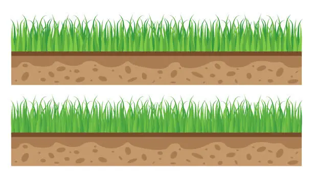 Vector illustration of Vector green lawn grass texture illustration: natural, organic, bio, eco label and shape on white background. Ground soil land pattern.