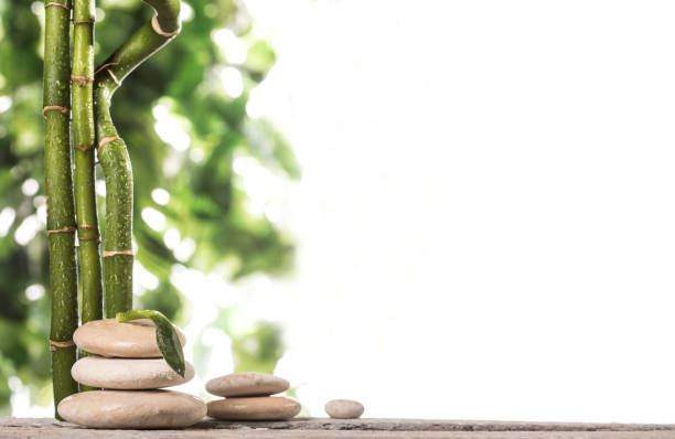 istock Grean bamboo leaves over zen stones pyramid on white background 1190146983