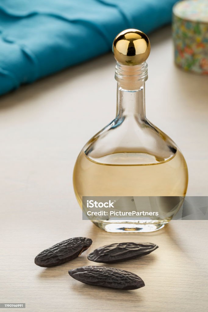 Essential Oil Made From Tonka Beans Stock Photo - Download Image Now - Tonka  Bean, Perfume, Scented - iStock