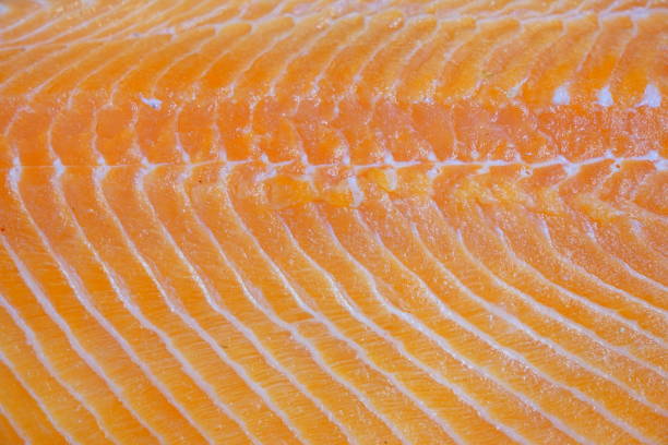 rohes lachsstück - vitamin d salmon fillet raw stock-fotos und bilder