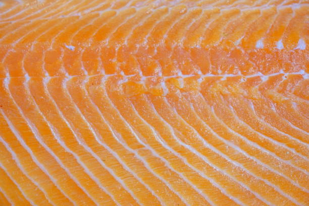 pieza de salmón crudo - vitamin d salmon fillet raw fotografías e imágenes de stock