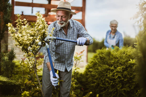 istock Smiling senior man gardening in the backyard. 1190147210