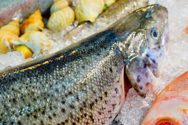 pieza de salmón crudo - vitamin d salmon fillet raw fotografías e imágenes de stock
