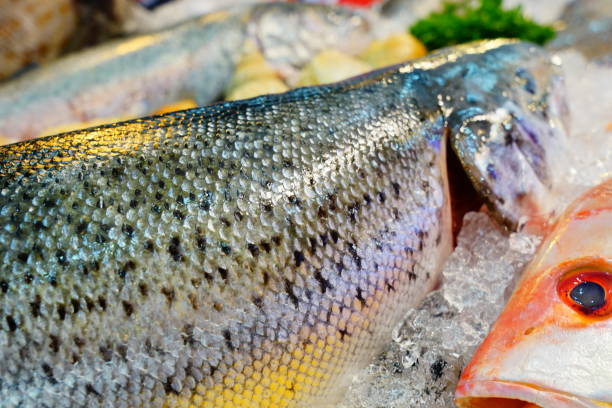 filetto di salmone sockeye - smoked salmon cooking copy space food foto e immagini stock