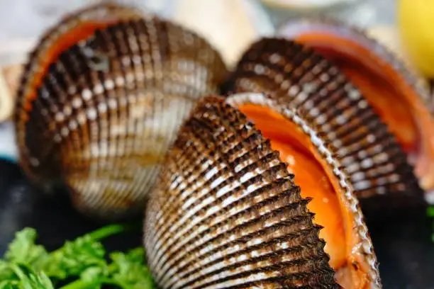 Photo of Closeup Steam blood cockle in plate