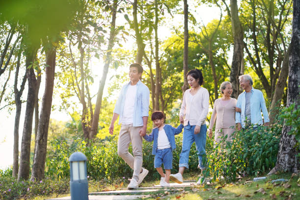 three generation asian family walking outdoors in park happy three generation asian family with mother father son grandmother, grandfather walking relaxing outdoors in park china chinese ethnicity smiling grandparent stock pictures, royalty-free photos & images