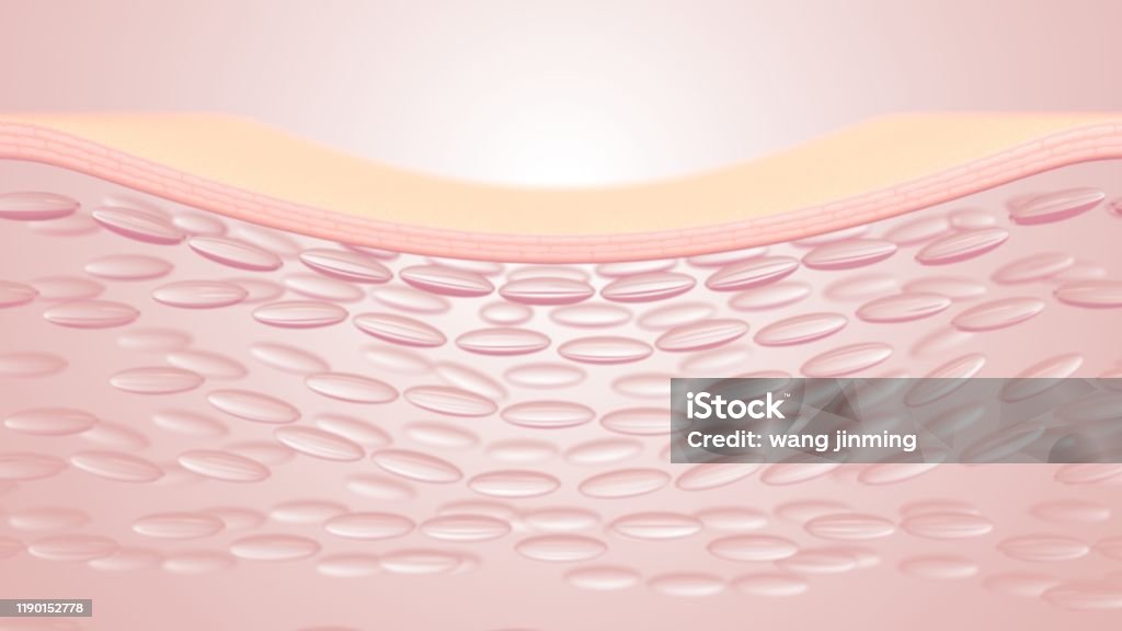 Metastructure Skin 3d Rendering The Skin Structure Layer Microstructure Stock Photo ...