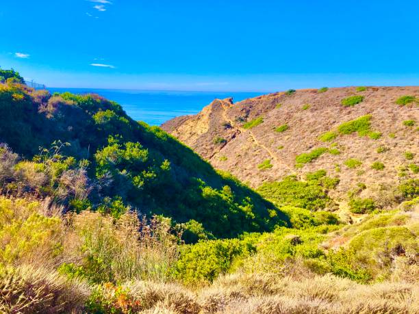 istock Ho Chi Minh Trail, La Jolla 1190162093