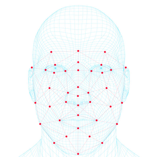 Face recognition men. The polygonal wireframe of the head of a man demonstrates face recognition technology. A lot of points and lines for recognizing a persons personality. Vector illustration Face recognition men. The polygonal wireframe of the head of a man demonstrates face recognition technology. A lot of points and lines for recognizing a persons personality. Vector illustration. face scan stock illustrations