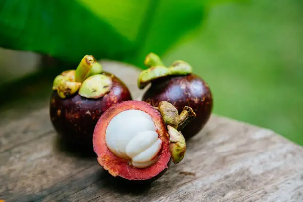Fresh mangosteens on the wooden table and green background