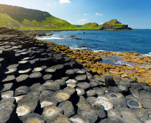 Giants Causeway, an area of hexagonal basalt stones, County Antrim, Northern Ireland. Famous tourist attraction, UNESCO World Heritage Site. Giants Causeway, an area of hexagonal basalt stones, created by ancient volcanic fissure eruption, County Antrim, Northern Ireland. Famous tourist attraction, UNESCO World Heritage Site. giants causeway photos stock pictures, royalty-free photos & images