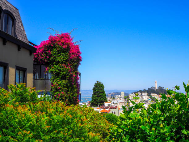 Coit Tower San Francisco from below