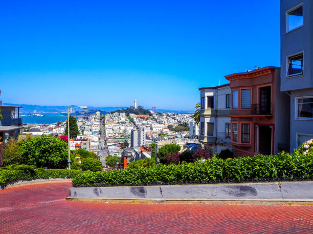 famous lomard street in san francisco - lombard street city urban scene city life imagens e fotografias de stock