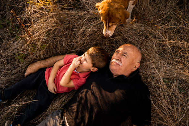 Grandson and grandfather sitting in field and playing Grandson and grandfather sitting in field and playing dog disruptagingcollection stock pictures, royalty-free photos & images