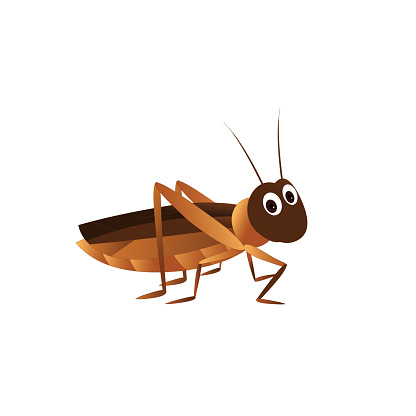Brown Cricket Stock Illustration - Download Image Now - Cricket - Insect,  Cartoon, Brown - iStock