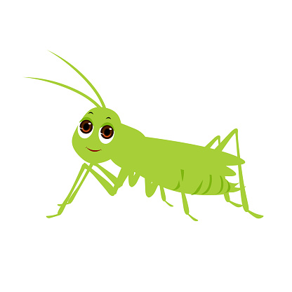 Free download of cricket cartoon vector graphics and illustrations, page 32 Free download of cricket cartoon vector graphics and illustrations, page 32