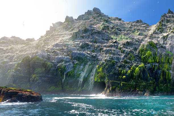 Little Skellig Island, home to many various seabirds and the second largest gannets colony in the world, County Kerry, Ireland. Tourist attractions on famous Irish Ring of Kerry route.