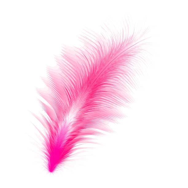 istock Cute cartoon quill isolated on a white background. Flat style. Vector illustration. 1190171459