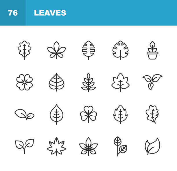 ikony linii liści i roślin. edytowalny obrys. pixel perfect. dla urządzeń mobilnych i sieci web. zawiera takie ikony jak liść, roślina, natura, środowisko, ekologia, dąb, palma, klon, sosna. - spring oak tree leaf oak leaf stock illustrations