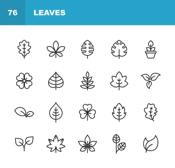 Vector illustration of Leaf and Plant Line Icons. Editable Stroke. Pixel Perfect. For Mobile and Web. Contains such icons as Leaf, Plant, Nature, Environment, Ecology, Oak, Palm, Maple, Pine.