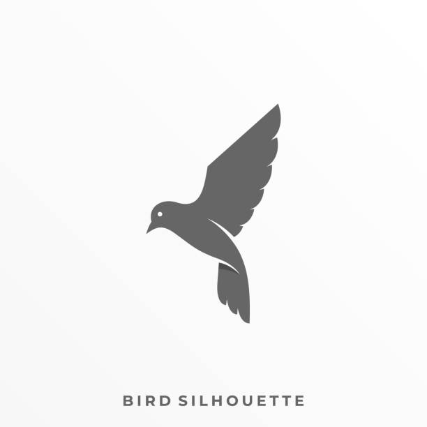 illustrazioni stock, clip art, cartoni animati e icone di tendenza di modello vettoriale illustrazione uccello volante - bird