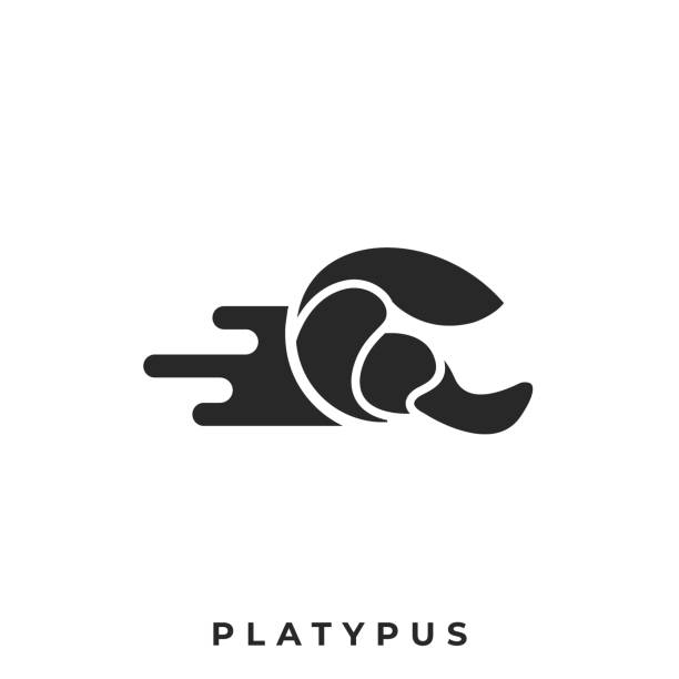 Platypus Illustration Vector Template Platypus Illustration Vector Template. Suitable For Creative Industry, Multimedia, Entertainment, Educations, Shop, And Any Related Business. duck billed platypus stock illustrations