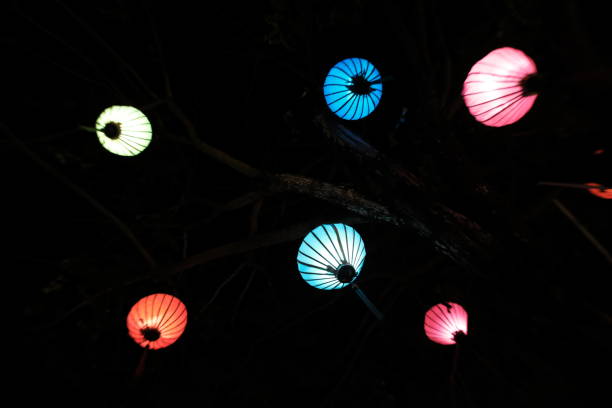 istock Lamps in the night sky 1190182242